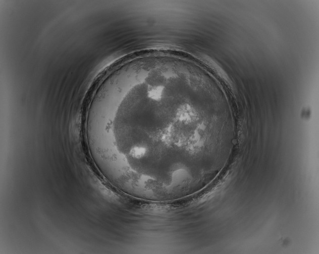 X0000100470831200806201605