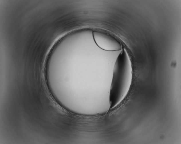 X0000100470832200806201605