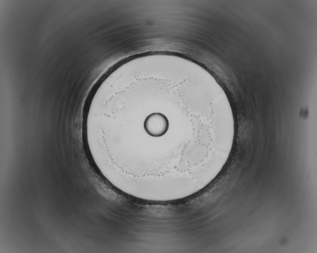 X0000100470836200806201605