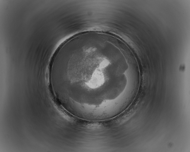 X0000100470838200806201605