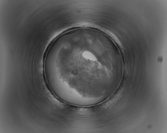 X0000100470839200806201605