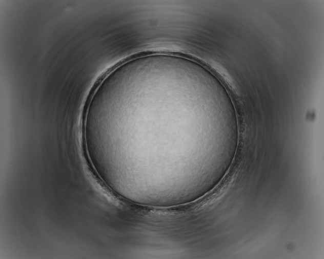 X0000100470840200806201605