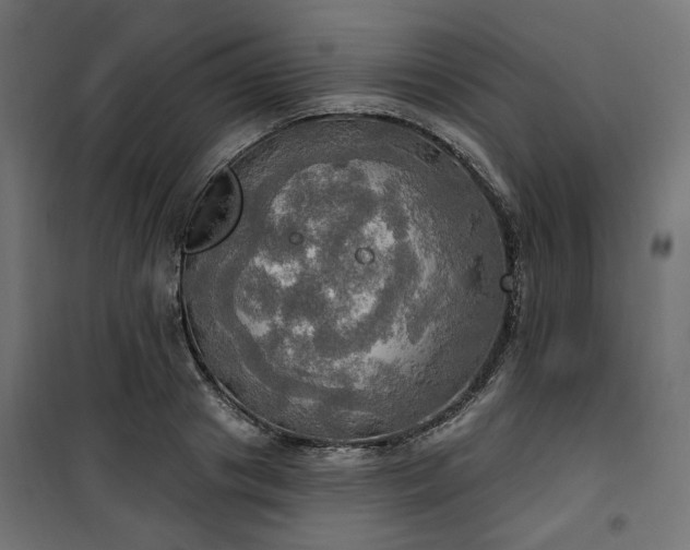 X0000100470841200806201605