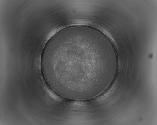 X0000100470842200806201605