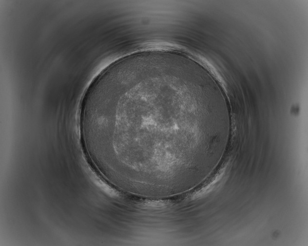 X0000100470843200806201605