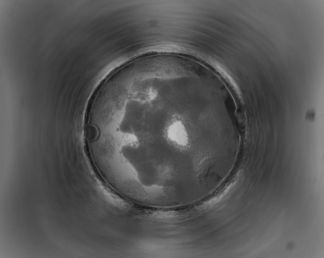 X0000100470845200806201605