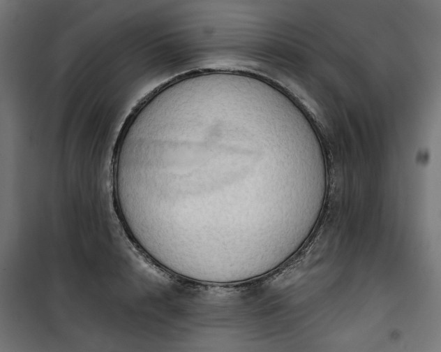 X0000100470848200806201605