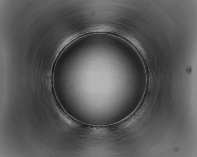 X0000100470850200806201605