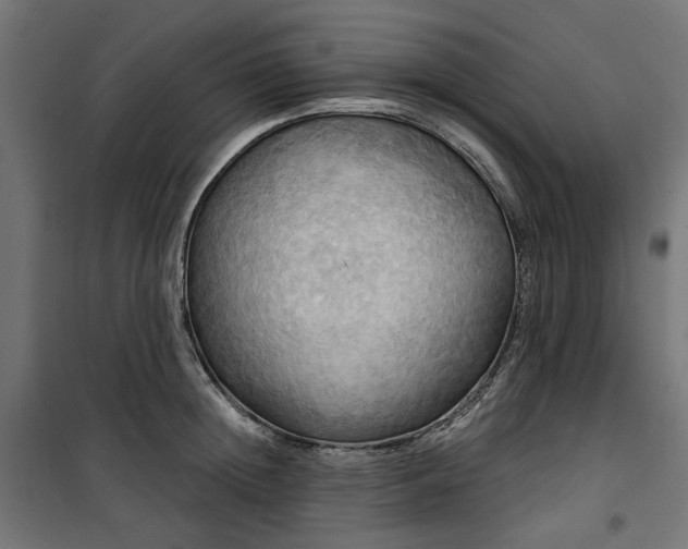 X0000100470852200806201605