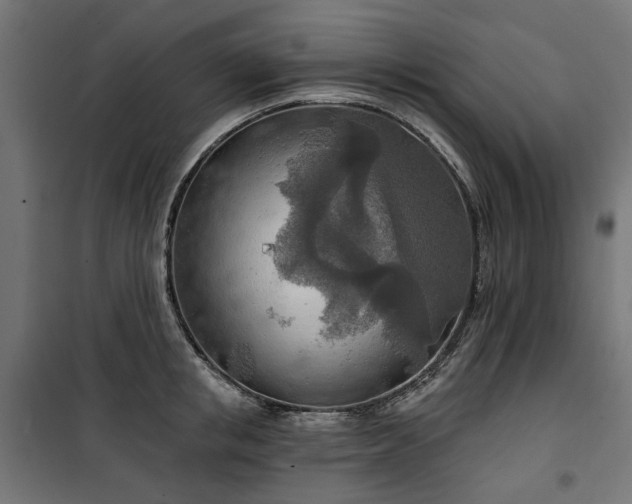 X0000100470853200806201605