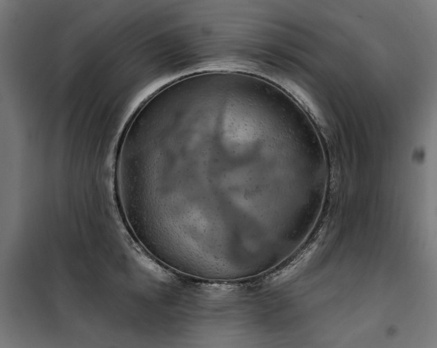 X0000100470854200806201605