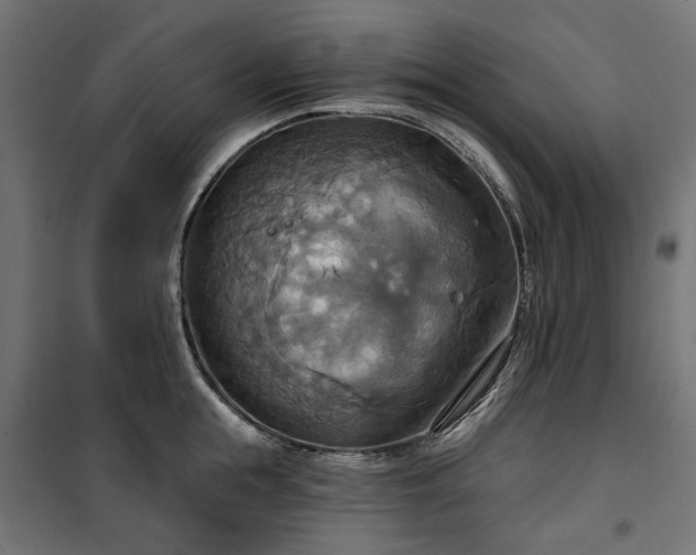 X0000100470855200806201605