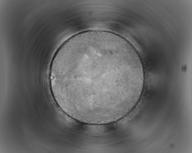 X0000100470856200806201605