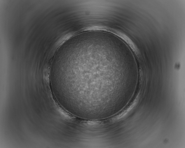 X0000100470857200806201605