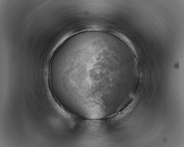 X0000100470859200806201605