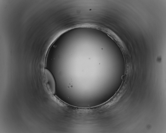 X0000100470860200806201605