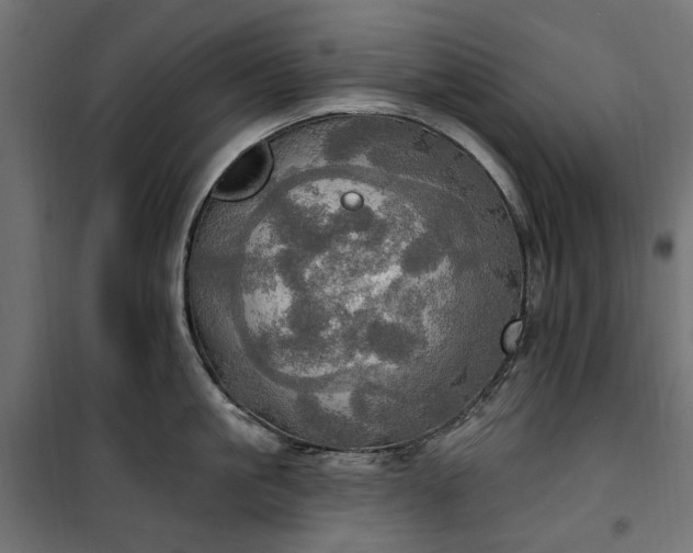 X0000100470861200806201605