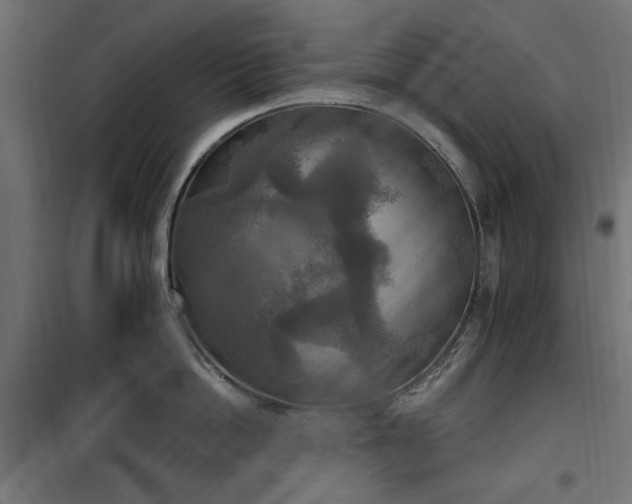 X0000100470862200806201605