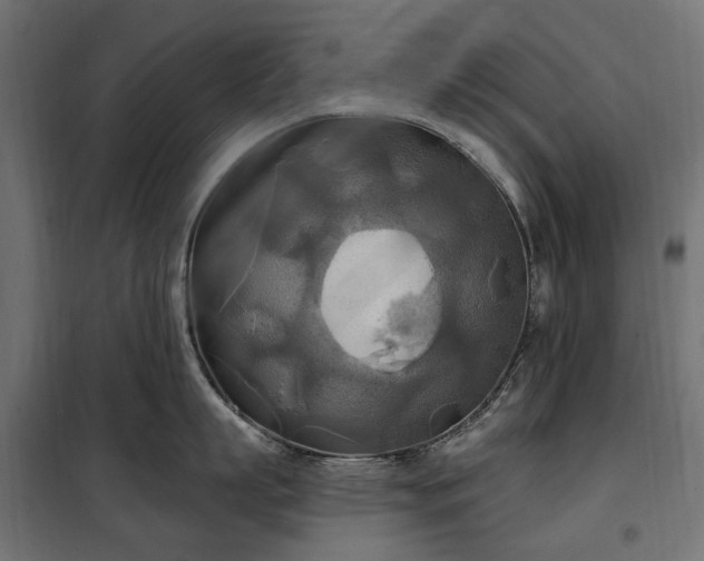 X0000100470863200806201605