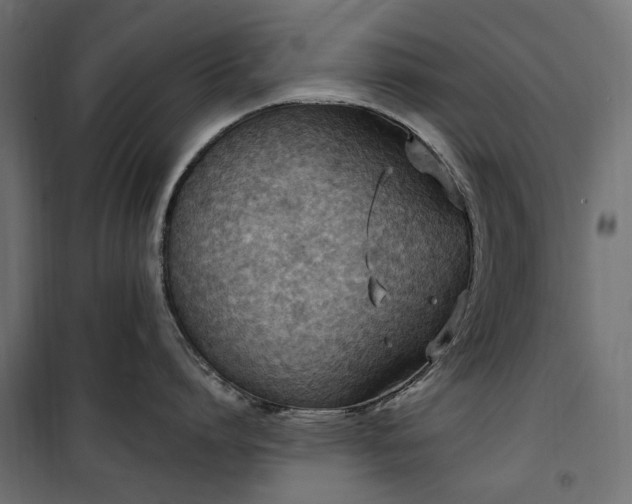 X0000100470864200806201605