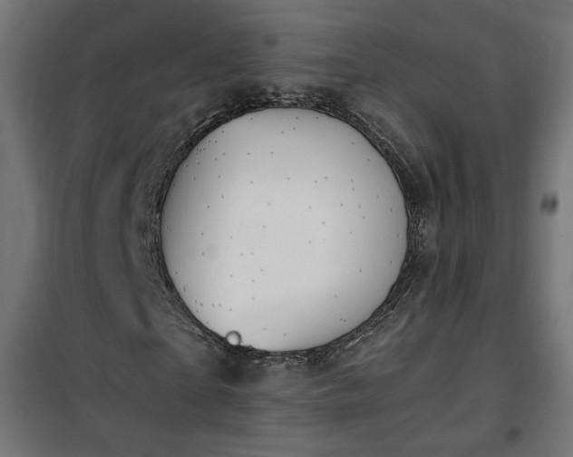 X0000100470865200806201604