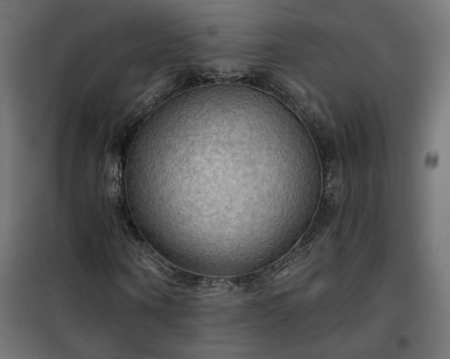 X0000100470866200806201604