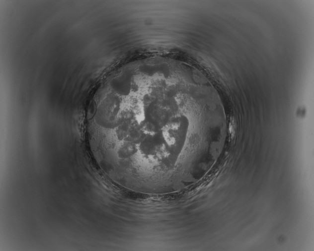 X0000100470867200806201604