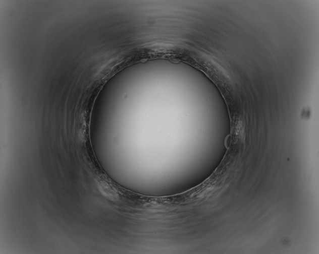 X0000100470868200806201604