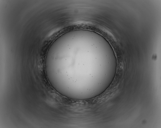 X0000100470869200806201604