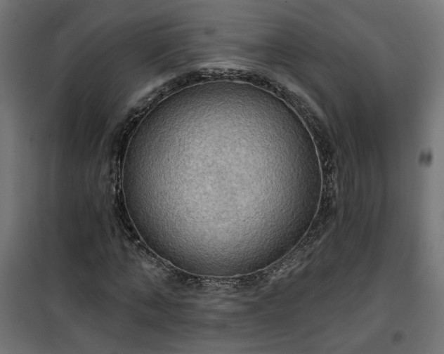 X0000100470870200806201604