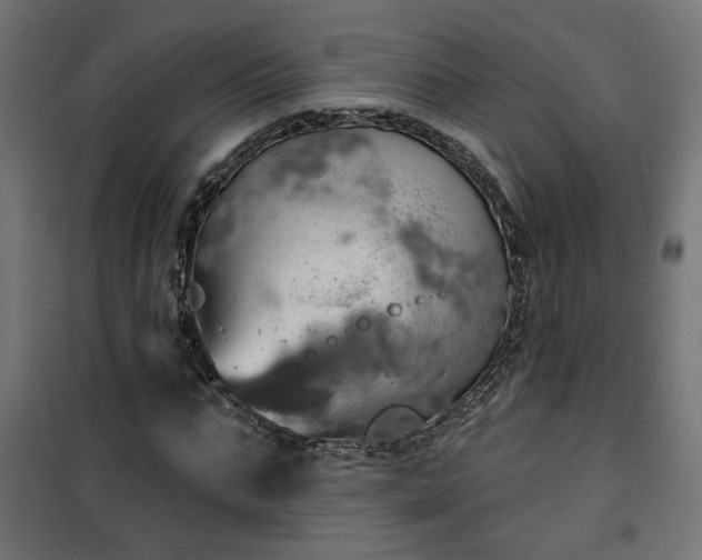 X0000100470871200806201604