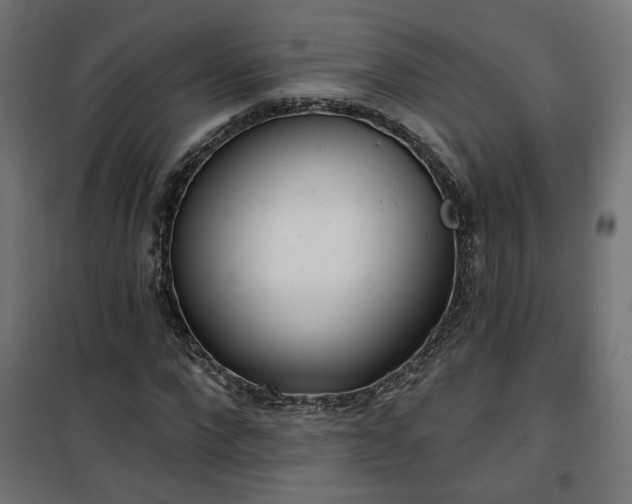 X0000100470872200806201604