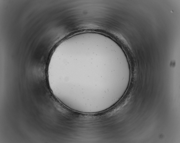 X0000100470873200806201604