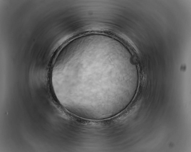 X0000100470874200806201604