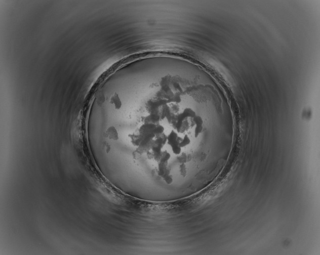 X0000100470875200806201604