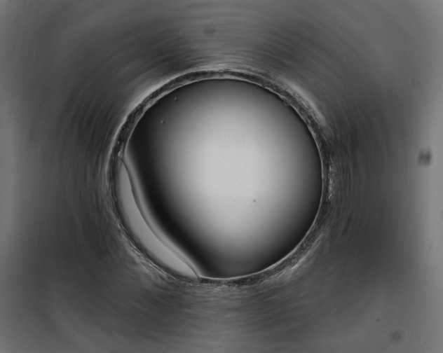 X0000100470876200806201604