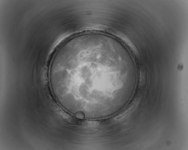 X0000100470878200806201604