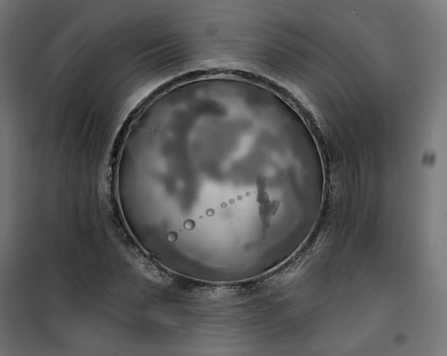 X0000100470879200806201604