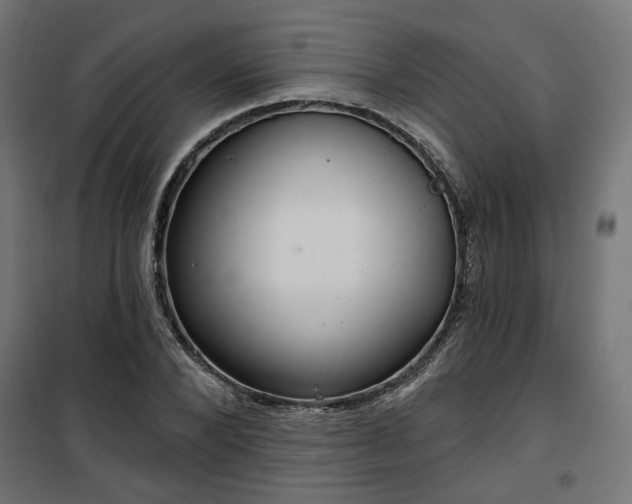 X0000100470880200806201604