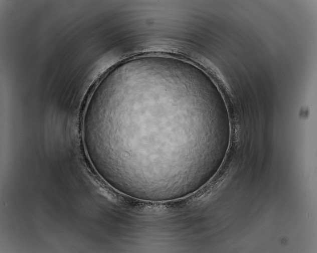 X0000100470882200806201604