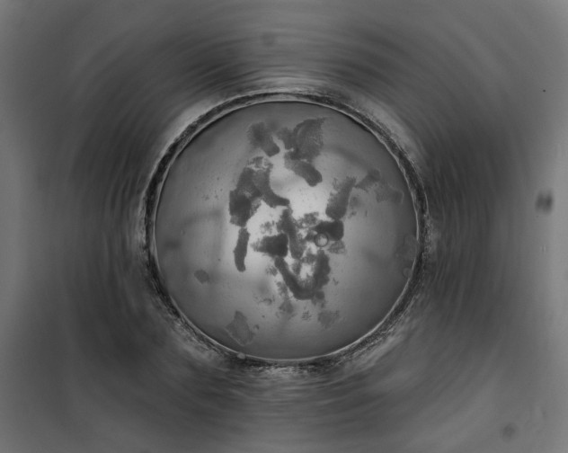 X0000100470883200806201604