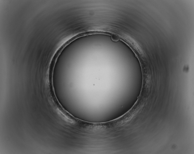 X0000100470884200806201604