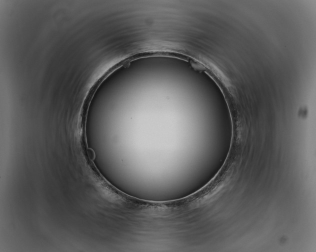 X0000100470885200806201604