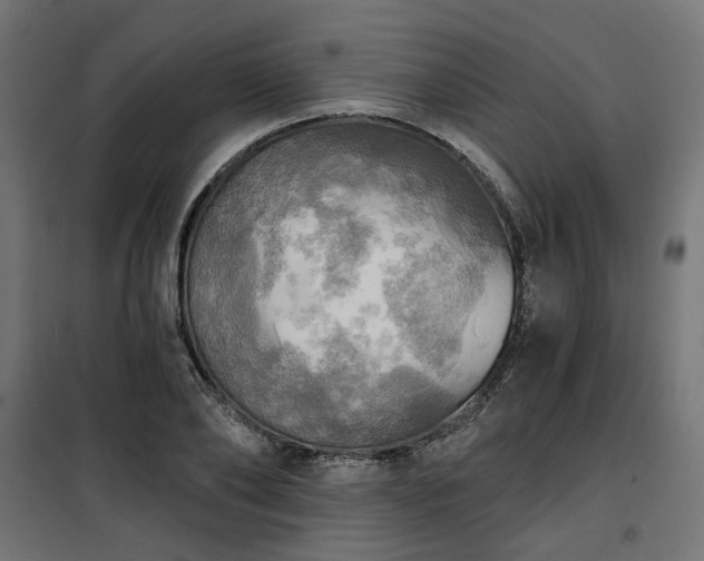 X0000100470886200806201604