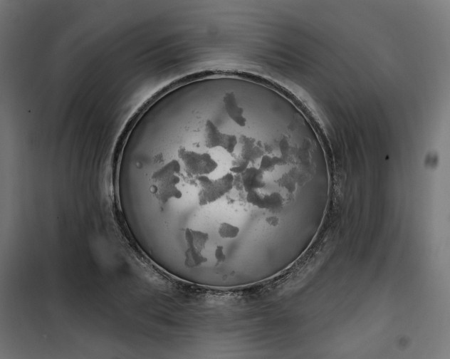 X0000100470887200806201604