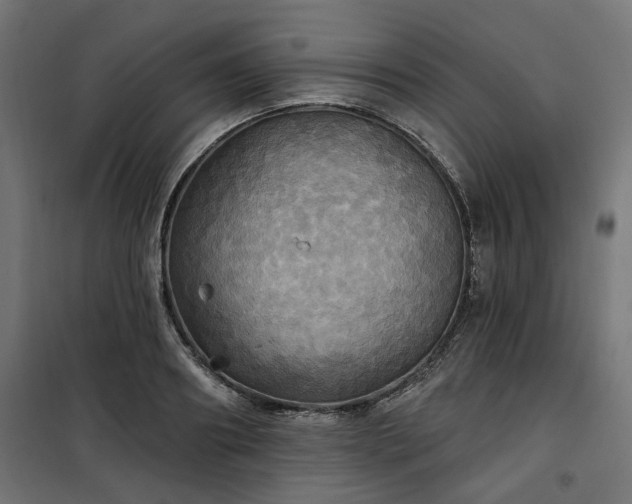 X0000100470890200806201604