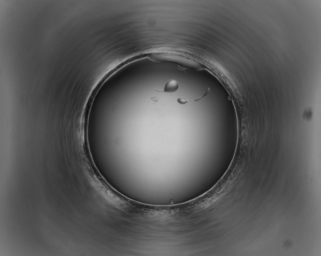 X0000100470892200806201604