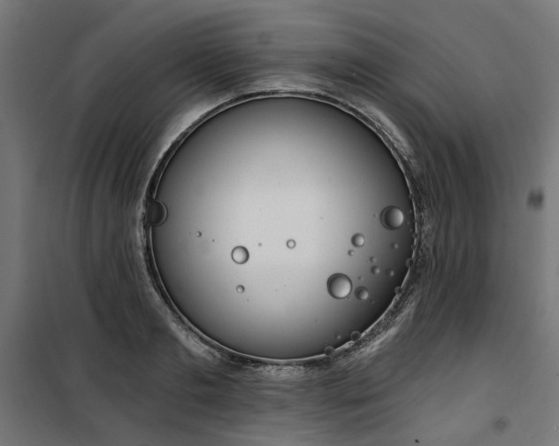 X0000100470893200806201604