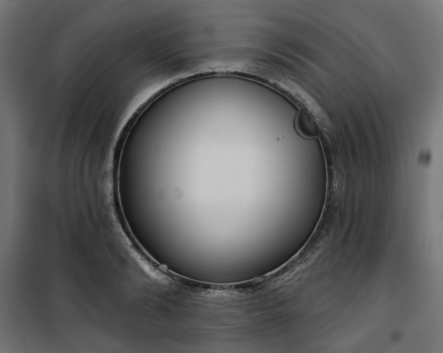 X0000100470894200806201604