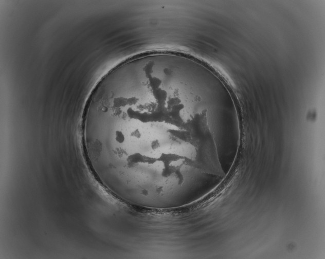 X0000100470895200806201604